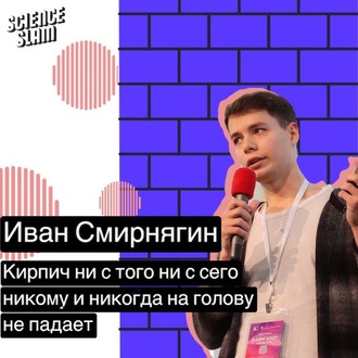 Обложка книги «Кирпич ни с того ни с сего никому и никогда на голову не свалится»