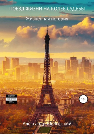 Обложка книги «Поезд жизни на колее судьбы»