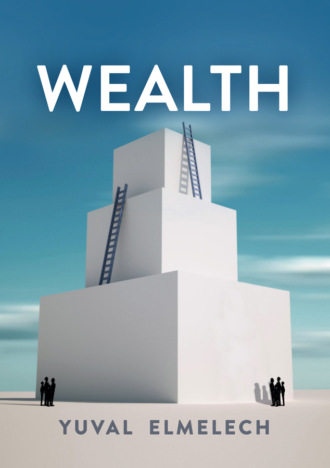 Yuval Elmelech. Wealth