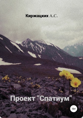Обложка книги «Проект «Спатиум»»