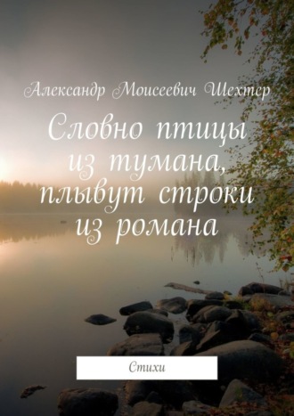 Александр Моисеевич Шехтер. Словно птицы из тумана, плывут строки из романа. Стихи