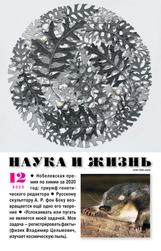 Обложка книги «Наука и жизнь №12/2020»