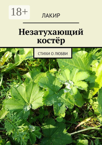 Обложка книги «Незатухающий костёр. Стихи о любви»
