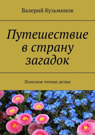 Валерий Кузьминов. Путешествие в страну загадок. Полезное чтение детям