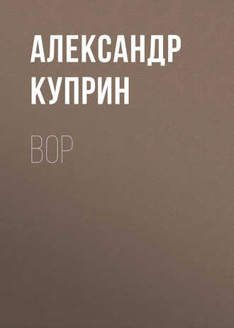 Обложка книги «Вор»