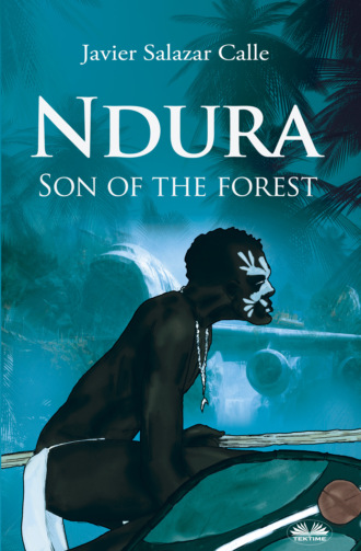 Обложка книги «Ndura. Son Of The Forest»