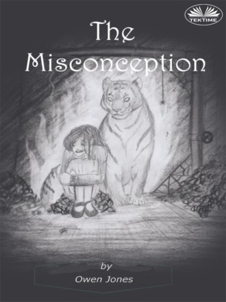 Обложка книги «The Misconception»