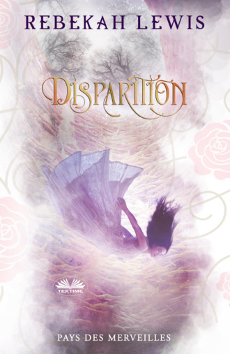 Обложка книги «Disparition»