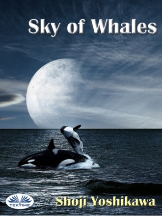 Обложка книги «Sky Of Whales»