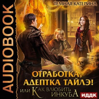 Обложка книги «Отработка, адептка Тайлэ! или Как влюбить инкуба»