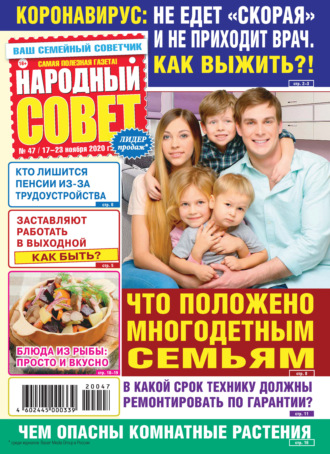 Обложка книги «Народный совет №47/2020»
