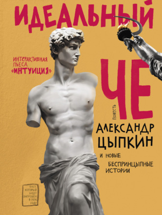 Обложка книги «Идеальный Че. Интуиция и новые беспринцЫпные истории»