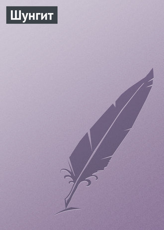 Обложка книги «Шунгит»