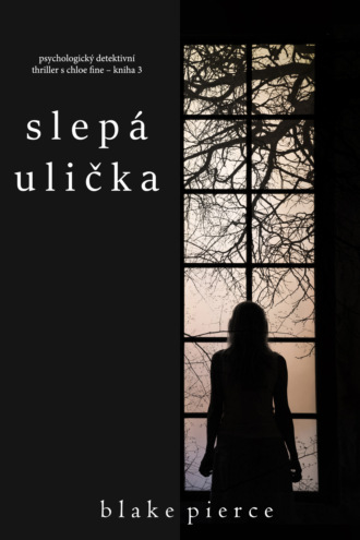 Блейк Пирс. Slep? ulička