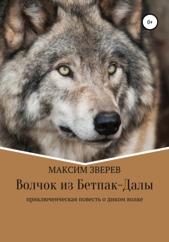 Обложка книги «Волчок из Бетпак-Далы»