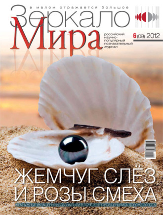 Обложка книги «Зеркало мира №06(09)/2012»