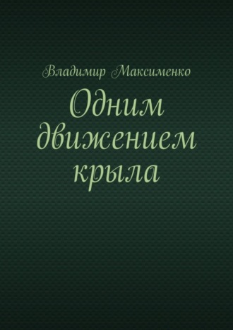 Владимир Иванович Максименко. Одним движением крыла