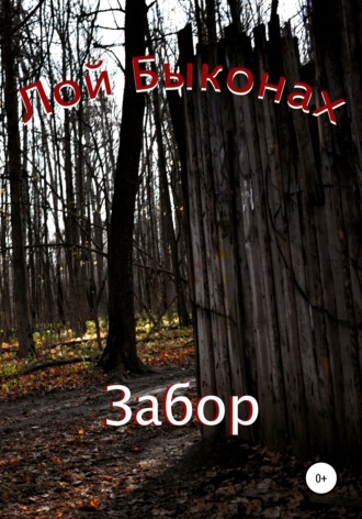 Обложка книги «Забор»