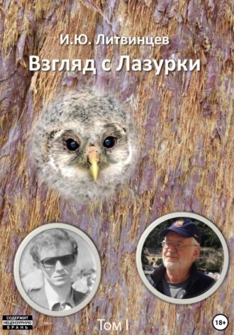 Обложка книги «Взгляд с Лазурки. Том 1»
