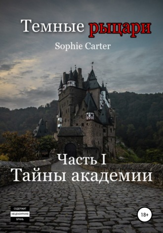 Обложка книги «Темные рыцари. Тайны академии»