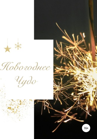 Обложка книги «Новогоднее чудо»