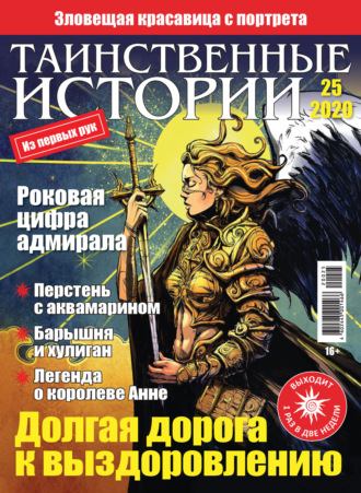 Обложка книги «Таинственные истории №25/2020»