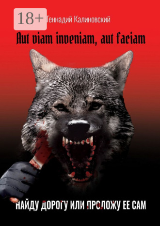 Обложка книги «Aut viam inveniam, aut faciam. Найду дорогу или проложу ее сам»