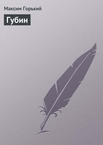 Обложка книги «Губин»