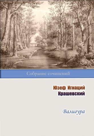 Обложка книги «Валигура»