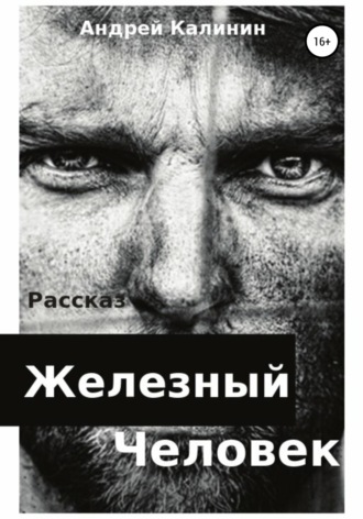 Обложка книги «Железный Человек»