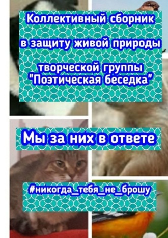 Обложка книги «Мы за них в ответе»