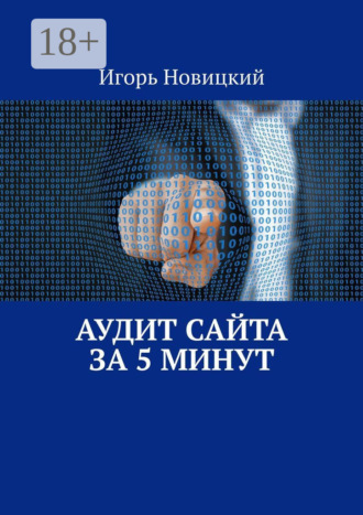Игорь Новицкий. Аудит сайта за 5 минут