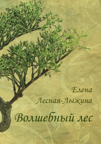 Обложка книги «Волшебный лес»