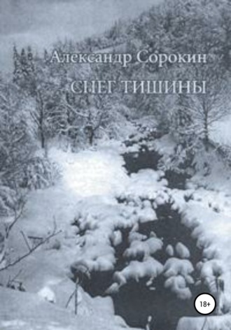 Александр Евгеньевич Сорокин. Снег тишины