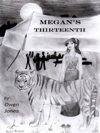 Обложка книги «Megan's Thirteenth»