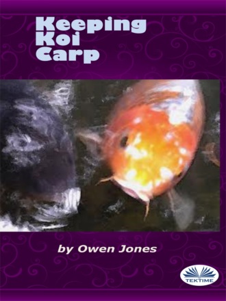 Обложка книги «Keeping Koi Carp»
