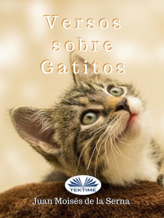 Обложка книги «Versos Sobre Gatitos»
