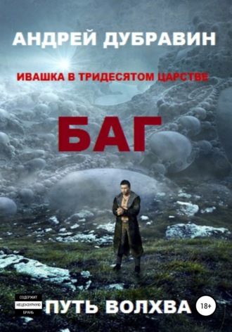 Обложка книги «БАГ»