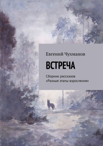 Евгений Чухманов. Встреча. Сборник рассказов «Разные этапы взросления»