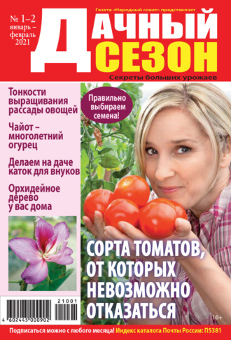 Обложка книги «Дачный сезон №01-02/2021»