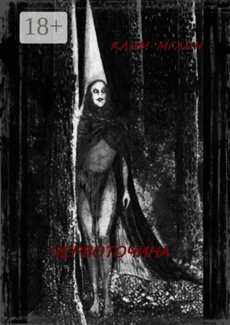 Обложка книги «Червоточина»