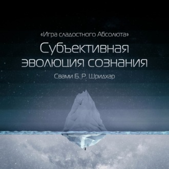 Обложка книги «Субъективная эволюция сознания»