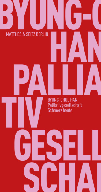 Byung-Chul Han. Palliativgesellschaft