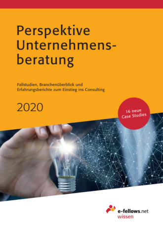 Группа авторов. Perspektive Unternehmensberatung 2020