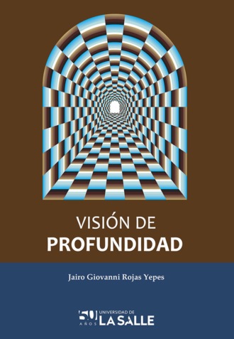 Jairo Giovanni Rojas Yepes. Visi?n de profundidad