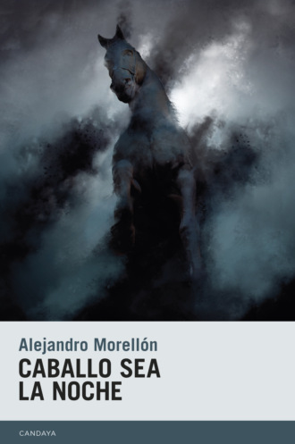 Alejandro Morell?n. Caballo sea la noche