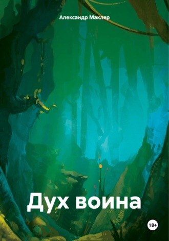 Обложка книги «Дух воина»