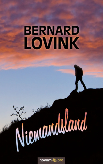 Bernard Lovink. Niemandsland