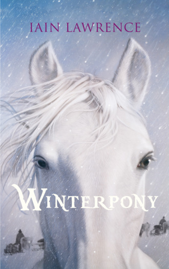 Iain  Lawrence. Winterpony