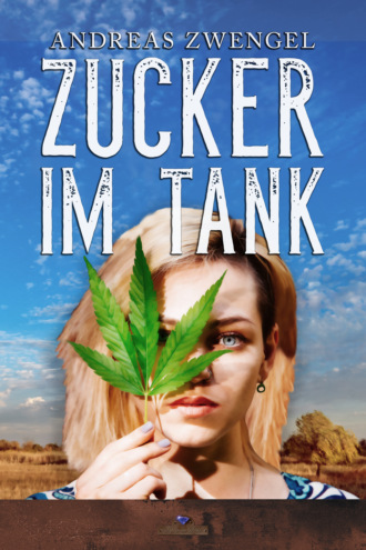 Andreas Zwengel. Zucker im Tank